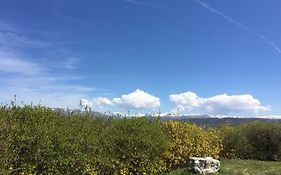 La Ginestra Sellano